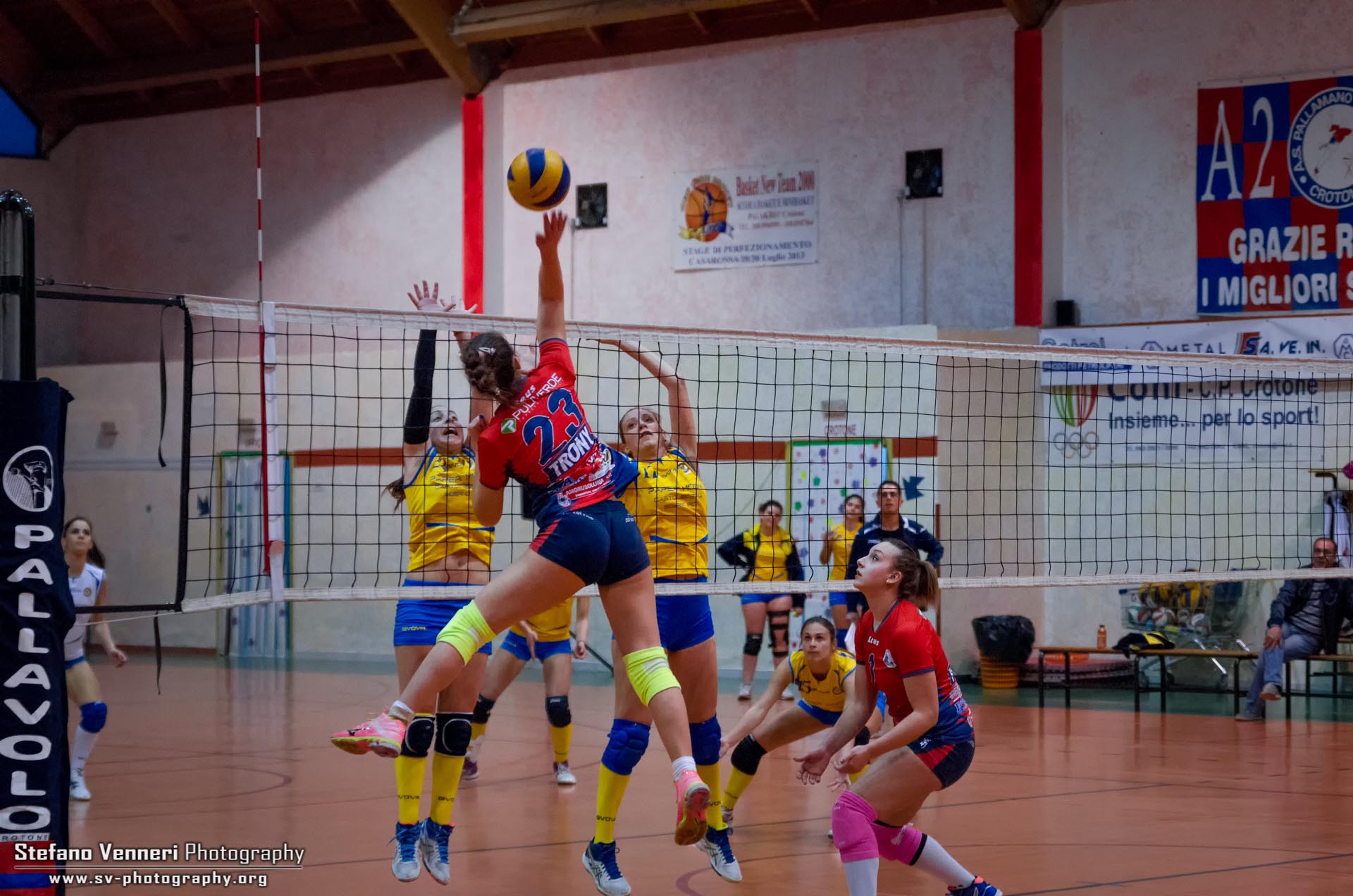 Volley