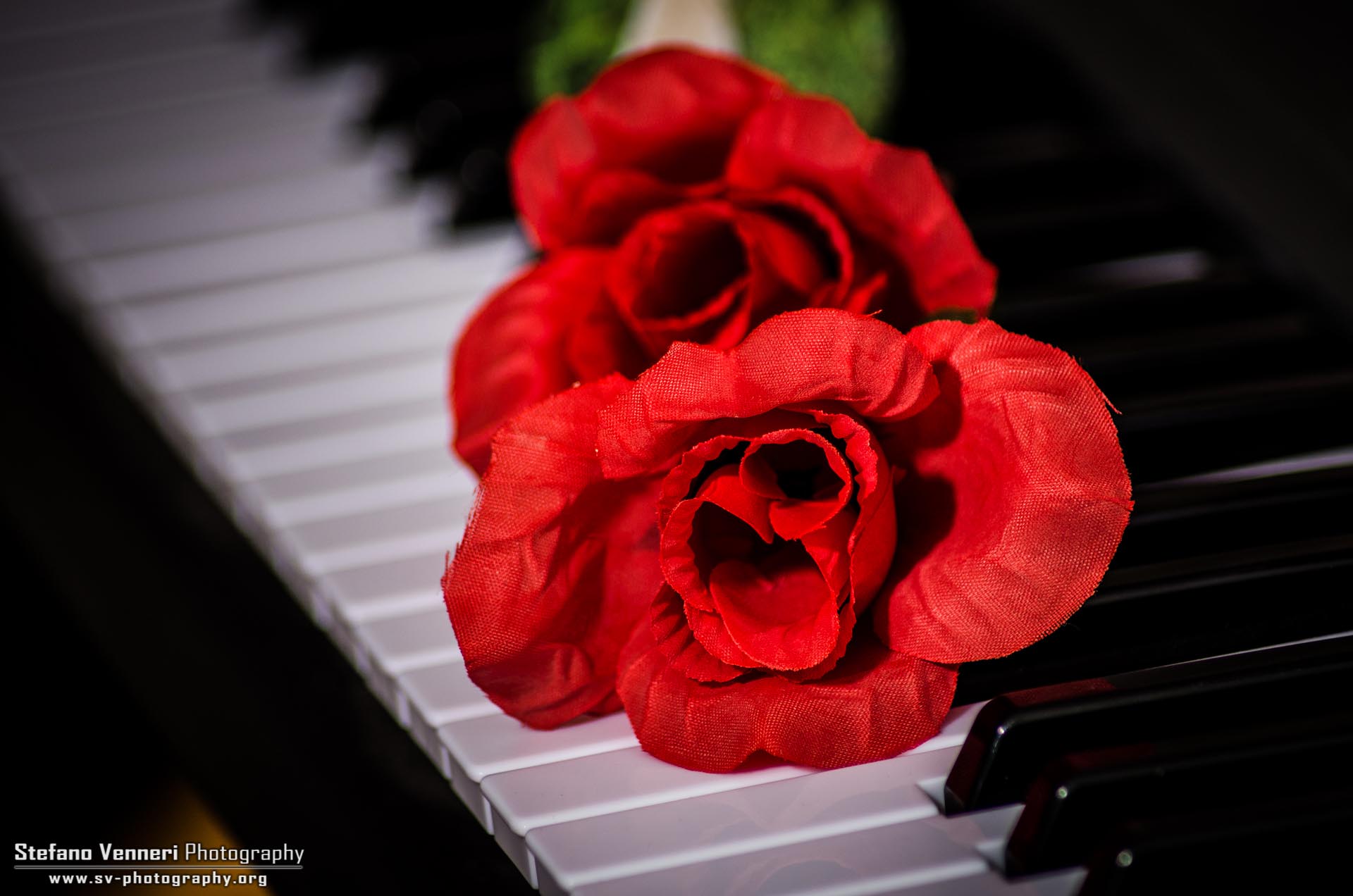 Love for Music