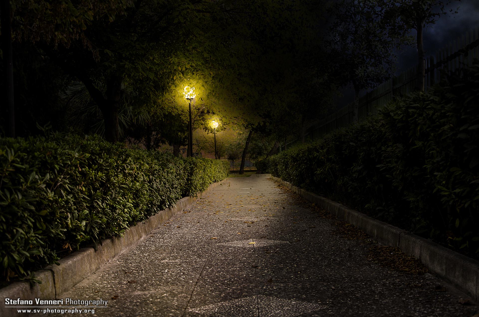Il parco di notte